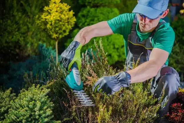 landscaping services Moscow Mills
